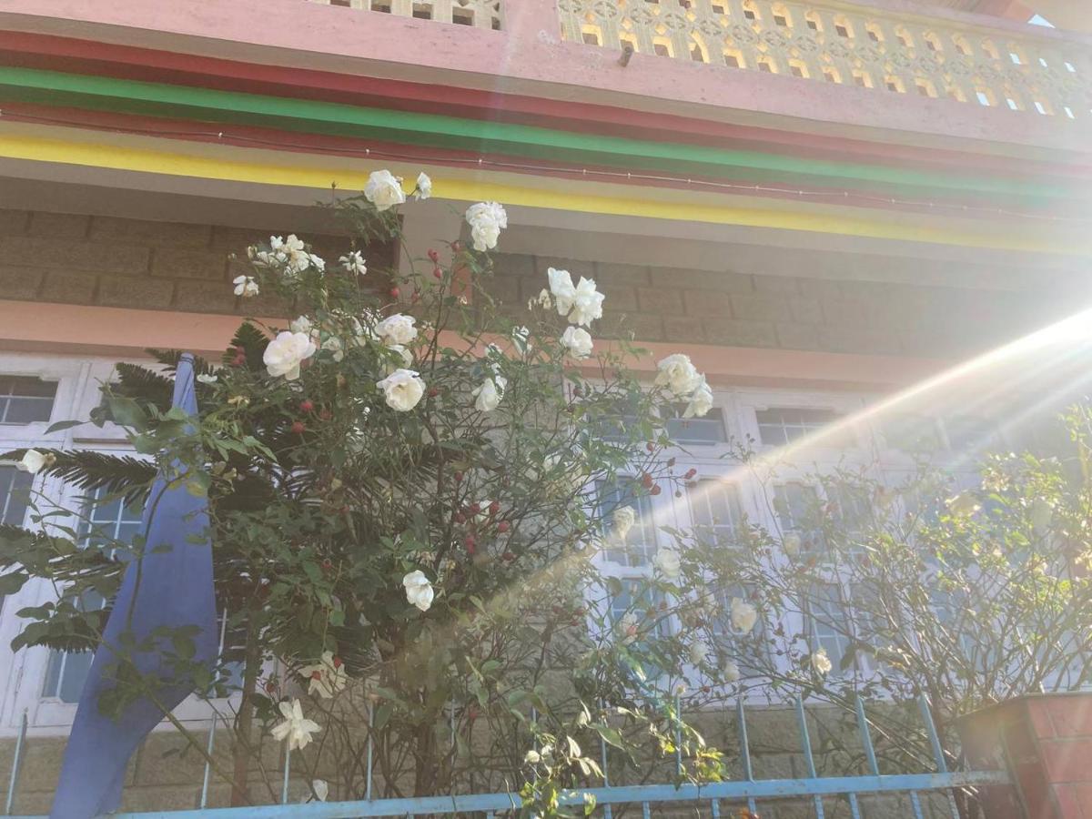 Ritu Raj & Cafe Homestay
